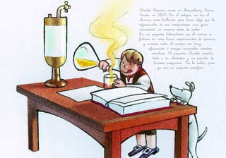 Charles Darwin nació en Shrewsbury, Reino
Unido, en 1809. En el colegio, no era el
alumno más brillante, pero tenía algo que lo
diferenciaba de sus compañeros: una gran
curiosidad, un enorme deseo de saber.
En un pequeño laboratorio que él mismo se
fabricó en casa hacía experimentos de química,
y cuando salía al campo era muy
aficionado a recoger minerales, insectos,
conchas… El pequeño Charles miraba
todo a su alrededor y no paraba de
hacerse preguntas. No lo sabía, pero
ya era un pequeño científico.
 