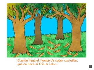 Cuando llega el tiempo de coger castañas,  que no hace ni frío ni calor… 