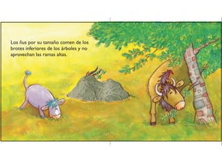 Los ñus por su tamaño comen de los
brotes inferiores de los árboles y no
aprovechan las ramas altas.
 