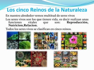 Los cinco reinos de la naturaleza | PPTX