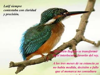 Latif siempre
contestaba con claridad
y precisión.




                                El recién llegado se transformó
                               en el interlocutor favorito del rey.

                               A los tres meses de su estancia ya
                               no había medida, decisión o fallo
                      AdaliM    que el monarca no consultara
 