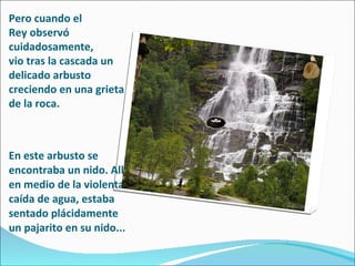 En este arbusto se encontraba un nido. Allí, en medio de la violenta caída de agua, estaba sentado plácidamente un pajarito en su nido... Pero cuando el  Rey observó cuidadosamente,  vio tras la cascada un delicado arbusto creciendo en una grieta de la roca. 