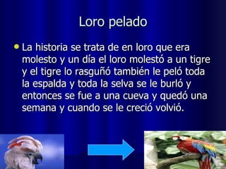 Loro pelado La historia se trata de en loro que era molesto y un día el loro molestó a un tigre y el tigre lo rasguñó también le peló toda la espalda y toda la selva se le burló y entonces se fue a una cueva y quedó una semana y cuando se le creció volvió. 