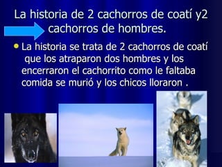 La historia de 2 cachorros de coatí y2 cachorros de hombres.  La historia se trata de 2 cachorros de coatí  que los atraparon dos hombres y los encerraron el cachorrito como le faltaba comida se murió y los chicos lloraron .  