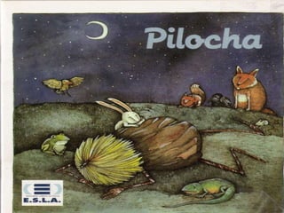Pilocha