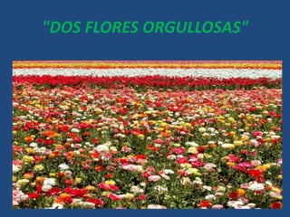 "DOS FLORES ORGULLOSAS"
 