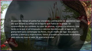 Al paso del tiempo él patito fue creciendo y cambiando de apariencia cada
vez que miraba su reflejo en la laguna que había en la granja. Se
sorprendía de sus cambios, su color de plumas, su pico y su estatura, Una
tarde en la que el sol empezaba a calentar decidió acudir al lago de la
granja kent para contemplar las flores, vio en medio de lago dos pájaros
grandes y blancos y majestuosos, Volvió a quedarse hechizado mirándolos,
pero esta vez tuvo el valor de acercarse a ellos.
 
