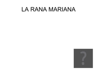 LA RANA MARIANA 