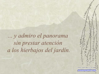 ... y admiro el panorama  sin prestar atención  a los hierbajos del jardín. 