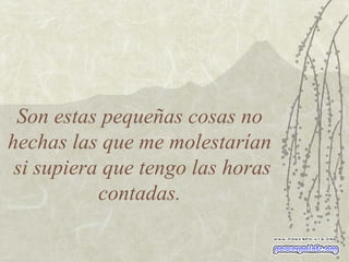 Son estas pequeñas cosas no hechas las que me molestarían  si supiera que tengo las horas contadas. 