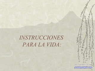 INSTRUCCIONES  PARA LA VIDA: 