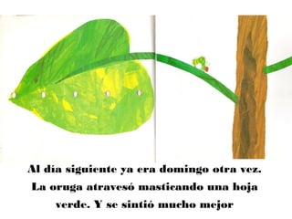 Al día siguiente ya era domingo otra vez.
La oruga atravesó masticando una hoja
verde. Y se sintió mucho mejor
 