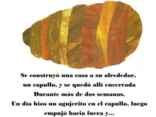 Se construyó una casa a su alrededor,
un capullo, y se quedó allí encerrada
Durante más de dos semanas.
Un día hizo un agujerito en el capullo, luego
empujó hacia fuera y…
 