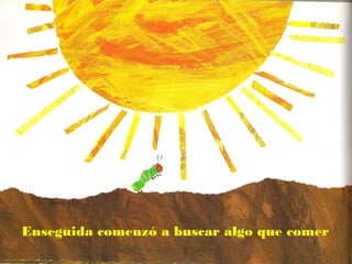 Enseguida comenzó a buscar algo que comer
 