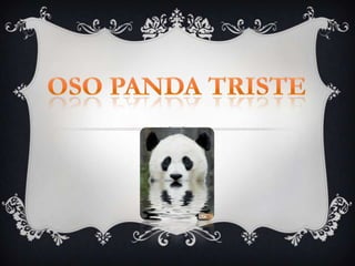Oso Panda Triste 