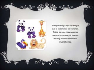 Tranquilo amigo aquí hay amigos que te cuidaran de los humanos. Todos  así, que nos ayudamos uno a otros para seguir viviendo felices y estamos sembrando mucho bambú.