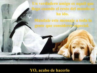 Un verdadero amigo es aquél que llega cuando el resto del mundo se ha ido.  Mándale este mensaje a toda la gente que consideres especial.  YO, acabo de hacerlo   