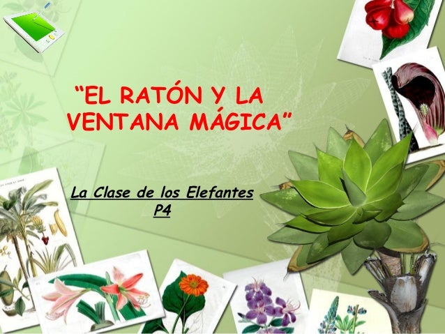 Cuento P Pw