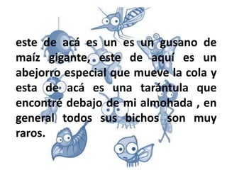 este de acá es un es un gusano de
maíz gigante, este de aquí es un
abejorro especial que mueve la cola y
esta de acá es una tarántula que
encontré debajo de mi almohada , en
general todos sus bichos son muy
raros.
 