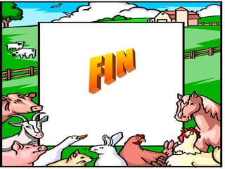 FIN 