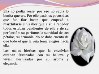 Ella no podía verse, por eso no sabía lo
bonita que era. Por ello pasó los pocos días
que fue flor hasta que empezó a
marchitarse sin saber que a su alrededor
todos estaban pendientes de ella y de su
perfección: su perfume, la suavidad de sus
pétalos, su armonía. No se daba cuenta de
que todo el que la veía tenia elogios hacia
ella.
Las malas hierbas que la envolvían
estaban fascinadas con su belleza y
vivían hechizadas por su aroma y
elegancia.
 