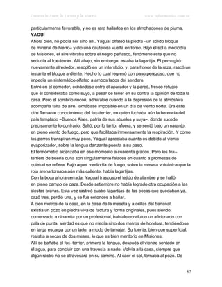 Cuentos de Amor, de Locura y de Muerte                     www.infotematica.com.ar

particularmente favorable, y no es raro hallarlos en los almohadones de pluma.
YAGUÍ
Ahora bien, no podía ser sino allí. Yaguaí olfateó la piedra –un sólido bloque
de mineral de hierro– y dio una cautelosa vuelta en torno. Bajo el sol a mediodía
de Misiones, el aire vibraba sobre el negro peñasco, fenómeno éste que no
seducía al fox–terrier. Allí abajo, sin embargo, estaba la lagartija. El perro giró
nuevamente alrededor, resopló en un intersticio, y, para honor de la raza, rascó un
instante el bloque ardiente. Hecho lo cual regresó con paso perezoso, que no
impedía un sistemático olfateo a ambos lados del sendero.
Entró en el comedor, echándose entre el aparador y la pared, fresco refugio
que él consideraba como suyo, a pesar de tener en su contra la opinión de toda la
casa. Pero el sombrío rincón, admirable cuando a la depresión de la atmósfera
acompaña falta de aire, tornábase imposible en un día de viento norte. Era éste
otro flamante conocimiento del fox–terrier, en quien luchaba aún la herencia del
país templado –Buenos Aires, patria de sus abuelos y suya–, donde sucede
precisamente lo contrario. Salió, por lo tanto, afuera, y se sentó bajo un naranjo,
en pleno viento de fuego, pero que facilitaba inmensamente la respiración. Y como
los perros transpiran muy poco, Yaguaí apreciaba cuanto es debido al viento
evaporizador, sobre la lengua danzante puesta a su paso.
El termómetro alcanzaba en ese momento a cuarenta grados. Pero los fox–
terriers de buena cuna son singularmente falaces en cuanto a promesas de
quietud se refiera. Bajo aquel mediodía de fuego, sobre la meseta volcánica que la
roja arena tornaba aún más caliente, había lagartijas.
Con la boca ahora cerrada, Yaguaí traspuso el tejido de alambre y se halló
en pleno campo de caza. Desde setiembre no había logrado otra ocupación a las
siestas bravas. Esta vez rastreó cuatro lagartijas de las pocas que quedaban ya,
cazó tres, perdió una, y se fue entonces a bañar.
A cien metros de la casa, en la base de la meseta y a orillas del bananal,
existía un pozo en piedra viva de factura y forma originales, pues siendo
comenzado a dinamita por un profesional, habíalo concluido un aficionado con
pala de punta. Verdad es que no medía sino dos metros de hondura, tendiéndose
en larga escarpa por un lado, a modo de tamajar. Su fuente, bien que superficial,
resistía a secas de dos meses, lo que es bien meritorio en Misiones.
Allí se bañaba el fox–terrier, primero la lengua, después el vientre sentado en
el agua, para concluir con una travesía a nado. Volvía a la casa, siempre que
algún rastro no se atravesara en su camino. Al caer el sol, tornaba al pozo. De


                                                                                 67
 