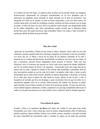 no la dejan moverse del lugar. Los pájaros giran el placer de las paredes llenas con imágenes
fosforescentes, despertando los presagios semidormidos en un leve abandono que le
entrecierra los párpados, hasta encender la alerta atrasada con la hora de levantarse. Una
fotografía de Carlos en el velador, la mira en forma inquisidora y una leve brisa mueve las
cortinas hasta atrás, avivando los sortilegios errantes, mientras las horas avanzan con su fuego
escarlata. Al abrir de nuevo los ojos, divisó un palomo recién nacido, casi desplumado arriba
de los cables telegráficos, pero saltó asustadísima cuando recordó que la Mariposa había
parido hace poco dos gatos preciosos, algo moteaditos blanco con negro y bajó corriendo la
escala para darles de beber un poco de leche.
Hay olor a edad
Igual que un moscardón, el llanto de una sirena se aleja y después vuelve cada vez con más
insistencia, durante aquella tarde de un domingo cualquiera al comenzar el mes de noviembre.
Los rayos del sol, se filtran a través de las hojas de los plátanos orientales de la calle y
penetran por la ventana del dormitorio, describiendo un balanceo nervioso con sus ramas, lo
que a momentos, parecen brazos alargándose hasta alcanzar el interior. Todo está muy
silencioso, salvo el runruneo que persiste en volver cada cierto espacio de tiempo indefinido,
que tal vez podría tratarse de horas o de segundos... Acurrucada como una oruga trata de no
pensar más en nada y fijando la mirada en las cortinas algo desteñidas y parchadas, abre los
ojos nuevamente cuando ya son las siete de la tarde. Las pupilas están rojas y siente su pelo
enmarañado que le cubre toda la frente, dándole un aspecto desgreñado y de pronto, se levanta
de un salto para mirar la puerta de calle desde la escala, abierta de par en par, y sólo se
tranquiliza al recordar que hoy era domingo y quiso cerciorarse bien de que los niños no se
encontraran jugando solos en la vereda. Efectivamente allí estaban con Ricardo su padre,
quien fumaba y leía el diario sentado en el alero de la puerta de entrada. El tono rosa del cielo,
como también algunos nubarrones violetas, acapararon sus ojos algo empañados todavía por el
sueño y se recostó nuevamente en la cama donde volvió a dormirse hasta la mañana siguiente.
Una mañana de agosto.
Cuando a Dina se le perdieron las llaves del cajón, dio vueltas la casa patas para arriba
buscándolas, por cielo y tierra, hasta que vació la cartera, desparramando sobre el cubrecama
pinches, aspirinas, lápices labiales, boletas, aros, scotch, cremas, monedas y otra gran variedad
de cosas, imposibles de enumerarlas todas, y siempre en espera, de un orden que prometía
 