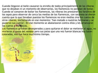 Cuando llegaron al baile causaron la envidia de todos principalmente de las víboras
que no dejaban ni un momento de observarlas, los flamencos no paraban de bailar. 
Cuando se cansaron de bailar los flamencos, las víboras les prestaron los farolitos de
los sapos para observar de cerca las medias de los flamencos, con sorpresa se dieron
cuenta que lo que llevaban puestos los flamencos no eran medias sino los cueros de
otras víboras, exclamando en ese momento: "han matado a nuestras hermanas y se
pusieron sus cueros". En ese momento se abalanzaron contra ellos y les arrancaron
los cueros a mordiscos. 
Los flamencos gritaban desesperados y para quitarse el dolor se metieron al agua, no
murieron a causa del veneno pero sus patas que una vez fueron blancas hoy lucen
coloradas, eso fue hace muchísimo tiempo. 
 