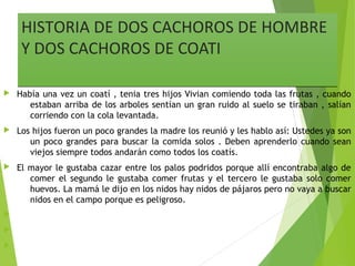 HISTORIA DE DOS CACHOROS DE HOMBRE
Y DOS CACHOROS DE COATI
HISTORIA DE DOS CACHOROS DE HOMBRE
Y DOS CACHOROS DE COATI
 Había una vez un coatí , tenia tres hijos Vivian comiendo toda las frutas , cuando
estaban arriba de los arboles sentían un gran ruido al suelo se tiraban , salían
corriendo con la cola levantada.
 Los hijos fueron un poco grandes la madre los reunió y les hablo así: Ustedes ya son
un poco grandes para buscar la comida solos . Deben aprenderlo cuando sean
viejos siempre todos andarán como todos los coatís.
 El mayor le gustaba cazar entre los palos podridos porque allí encontraba algo de
comer el segundo le gustaba comer frutas y el tercero le gustaba solo comer
huevos. La mamá le dijo en los nidos hay nidos de pájaros pero no vaya a buscar
nidos en el campo porque es peligroso.



 