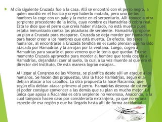 Al día siguiente Cruzada fue a la casa. Allí se encontró con el perro negro, a
quien mordió en el hocico y creyó haberlo matado, pero uno de los
hombres la coge con un palo y la mete en el serpentario. Allí conoce a otra
serpiente procedente de la India, cuyo nombre es Hamadrías o cobra real.
Ésta le dice que el perro que creía haber matado, no está muerto pues
estaba inmunizado contra las picaduras de serpiente. Hamadrías propone
un plan a Cruzada para escaparse. Cruzada se deja morder por Hamadrías
para hacer creer a los hombres que está muerta. En efecto, los seres
humanos, al encontrarse a Cruzada tendida en el suelo piensan que ha sido
atacada por Hamadrías y la arrojan por la ventana. Luego, cogen a
Hamadrías para sacarle el poco veneno que le tenía que quedar. En ese
momento Cruzada aprovecha para morder al hombre que tenía cogida a
Hamadrías, dejandolaí caer al suelo, la cual a su vez muerde al que era el
director del Instituto. De esta manera logran escapar.. 
Al llegar al Congreso de las Víboras, se planifica desde allí un ataque a los
humanos. Se hacen dos propuestas. Una la hace Hamadrías, según ella
debían atacar a los caballos. La otra propuesta la hace Ñacaniná, que
según ella debían atacar primero al perro. Hamadrías deseosa de ostentar
el poder consigue convencer a las demás que su plan es mucho mejor. La
única que apoya a Ñacaniná es otra serpiente no venenosa, Anaconda, a la
cual tampoco hacen caso por considerarla extranjera, ya que no es una
especie de esa región y que ha llegado hasta allí de forma accidental. 
 