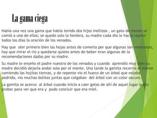 Lagamaciega
Había una vez una gama que había tenido dos hijos mellizos , un gato de monte se
comió a uno de ellos; se quedo solo la hembra, su madre cada día le hacia repetir
todos los días la oración de los venados.
Hay que oler primero bien las hojas antes de comerla por que algunas son venenosas,
hay que mirar el rio y quedarse quieto antes de beber eran algunas de la
recomendaciones dadas por su madre.
Su madre le enseño el padre nuestro de los venados y cuando aprendió muy bien su
madre decidió dejarla andar sola por el monte. Una tarde la gamita recorría el monte
comiendo las hojitas tiernas, y de repente vio el hueco de un árbol que estaba
podrido, vio muchas bolitas juntas que colgaban del árbol con un color oscuro.
La gamita se acerco al árbol cuando inicio a caer gotas de allí de aquel lugar quizo
probar para ver que era y pudo concluir que era miel.

 