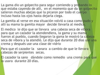 La gama dio un golpecito para segur comiendo y probando lo
que estaba cayendo de allí, en el momento que da un golpecito
salieron muchas abejas que la picaron por todo el cuerpo
incluso hasta los ojos hasta dejarla ciega.
La gamita al verse en esa situación volvió a casa como pudo y
allí su mama la gamita mayor decide llevarla al medico.
El medico le dijo que se llevara una cabeza seca de víbora
para que un cazador la atendendiera, la gama y su mama
fueron al pueblo, cuando llegaron la gama le mostró la cabeza
seca de víbora y la atendió. Le dijo que durante 20 días use una
crema y después use una clase de vidrio 
Para que el cazador la sanara a cambio de que le llevara
cabezas de serpientes secas.
El cazador la sano dándole como remedio una crema para que
la usara durante 20 días.
 