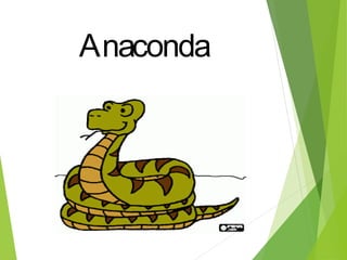 Anaconda
 