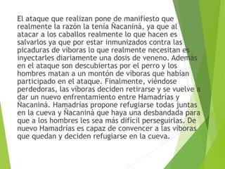 El ataque que realizan pone de manifiesto que
realmente la razón la tenía Ñacaniná, ya que al
atacar a los caballos realmente lo que hacen es
salvarlos ya que por estar inmunizados contra las
picaduras de víboras lo que realmente necesitan es
inyectarles diariamente una dosis de veneno. Además
en el ataque son descubiertas por el perro y los
hombres matan a un montón de víboras que habían
participado en el ataque. Finalmente, viéndose
perdedoras, las víboras deciden retirarse y se vuelve a
dar un nuevo enfrentamiento entre Hamadrías y
Ñacaniná. Hamadrías propone refugiarse todas juntas
en la cueva y Ñacaniná que haya una desbandada para
que a los hombres les sea más difícil perseguirlas. De
nuevo Hamadrías es capaz de convencer a las víboras
que quedan y deciden refugiarse en la cueva.
 