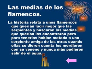Las medias de los flamencos. La historia relata a unos flamencos que querían lucir mejor que las serpientes y buscaron las medias que querían las encontraron pero para tenerlas habían matado a una serpiente amiga de las otras cuando ellas se dieron cuenta los mordieron con su veneno y nunca más pudieron salir de el agua. Fin. 