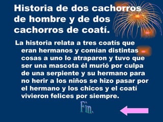 Historia de dos cachorros de hombre y de dos cachorros de coatí. La historia relata a tres coatís que eran hermanos y comían distintas cosas a uno lo atraparon y tuvo que ser una mascota él murió por culpa de una serpiente y su hermano para no herir a los niños se hizo pasar por el hermano y los chicos y el coatí vivieron felices por siempre.  Fin. 