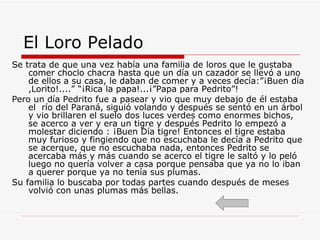 El Loro Pelado Se trata de que una vez había una familia de loros que le gustaba comer choclo chacra hasta que un día un cazador se llevó a uno de ellos a su casa, le daban de comer y a veces decía:”¡Buen día ,Lorito!....” “¡Rica la papa!...¡”Papa para Pedrito”! Pero un día Pedrito fue a pasear y vio que muy debajo de él estaba el  río del Paraná, siguió volando y después se sentó en un árbol y vio brillaren el suelo dos luces verdes como enormes bichos, se acerco a ver y era un tigre y después Pedrito lo empezó a molestar diciendo : ¡Buen Día tigre! Entonces el tigre estaba muy furioso y fingiendo que no escuchaba le decía a Pedrito que se acerque, que no escuchaba nada, entonces Pedrito se acercaba más y más cuando se acerco el tigre le saltó y lo peló luego no quería volver a casa porque pensaba que ya no lo iban a querer porque ya no tenía sus plumas. Su familia lo buscaba por todas partes cuando después de meses volvió con unas plumas más bellas.  