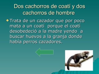 Dos cachorros de coatí y dos cachorros de hombre  Trata de un cazador que por poco mata a un coatí  porque el coatí desobedeció a la madre yendo  a buscar huevos a la granja donde había perros cazadores.  