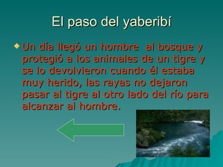 El paso del yaberibí Un día llegó un hombre  al bosque y protegió a los animales de un tigre y se lo devolvieron cuando él estaba  muy herido, las rayas no dejaron pasar al tigre al otro lado del río para alcanzar al hombre.   