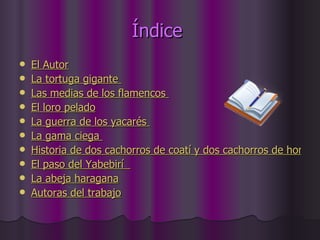 Índice  El Autor La tortuga gigante  Las medias de los flamencos  El loro pelado La guerra de los yacarés  La gama ciega  Historia de dos cachorros de coatí y dos cachorros de hombre El paso del Yabebirí   La abeja haragana Autoras del trabajo 