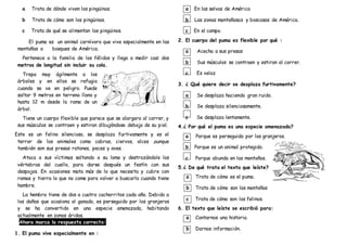 a Trata de dónde viven los pingüinos.
b Trata de cómo son los pingüinos.
c Trata de qué se alimentan los pingüinos.
El puma es un animal carnívoro que vive especialmente en las
montañas o bosques de América.
Pertenece a la familia de los félidos y llega a medir casi dos
metros de longitud sin incluir su cola.
Trepa muy ágilmente a los
árboles y en ellos se refugia
cuando se ve en peligro. Puede
saltar 9 metros en terreno llano y
hasta 12 m desde la rama de un
árbol.
Tiene un cuerpo flexible que parece que se alargara al correr, y
sus músculos se contraen y estiran dibujándose debajo de su piel.
Este es un felino silencioso, se desplaza furtivamente y es el
terror de los animales como cabras, ciervos, alces ,aunque
también son sus presas ratones, peces y aves.
Ataca a sus víctimas saltando a su lomo y destrozándole las
vértebras del cuello, para darse después un festín con sus
despojos. En ocasiones mata más de lo que necesita y cubre con
ramas y tierra lo que no come para volver a buscarlo cuando tiene
hambre.
La hembra tiene de dos a cuatro cachorritos cada año. Debido a
los daños que ocasiona al ganado, es perseguido por los granjeros
y se ha convertido en una especie amenazada, habitando
actualmente en zonas áridas.
Ahora marca la respuesta correcta:
1. El puma vive especialmente en :
a En las selvas de América
b Las zonas montañosas y boscosas de América.
c En el campo.
2. El cuerpo del puma es flexible por qué :
a Acecha a sus presas
b Sus músculos se contraen y estiran al correr.
c Es veloz
3. ¿ Qué quiere decir se desplaza furtivamente?
a Se desplaza haciendo gran ruido.
b Se desplaza silenciosamente.
c Se desplaza lentamente.
4.¿ Por qué el puma es una especie amenazada?
a Porque es perseguida por los granjeros.
b Porque es un animal protegido.
c Porque abunda en las montañas.
5.¿ De qué trata el texto que leíste?
a Trata de cómo es el puma.
b Trata de cómo son las montañas
c Trata de cómo son los felinos.
6. El texto que leíste se escribió para:
a Contarnos una historia.
b Darnos información.
 