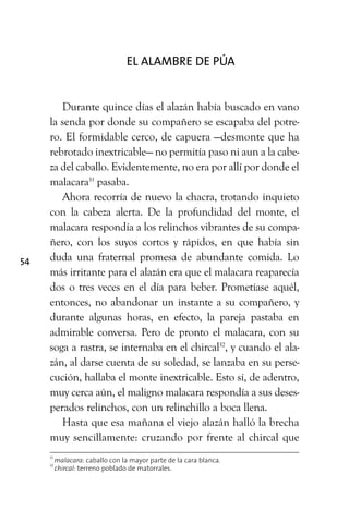 54
EL ALAMBRE DE PÚA
Durante quince días el alazán había buscado en vano
la senda por donde su compañero se escapaba del potre-
ro. El formidable cerco, de capuera —desmonte que ha
rebrotado inextricable— no permitía paso ni aun a la cabe-
za del caballo. Evidentemente, no era por allí por donde el
malacara31
pasaba.
Ahora recorría de nuevo la chacra, trotando inquieto
con la cabeza alerta. De la profundidad del monte, el
malacara respondía a los relinchos vibrantes de su compa-
ñero, con los suyos cortos y rápidos, en que había sin
duda una fraternal promesa de abundante comida. Lo
más irritante para el alazán era que el malacara reaparecía
dos o tres veces en el día para beber. Prometíase aquél,
entonces, no abandonar un instante a su compañero, y
durante algunas horas, en efecto, la pareja pastaba en
admirable conversa. Pero de pronto el malacara, con su
soga a rastra, se internaba en el chircal32
, y cuando el ala-
zán, al darse cuenta de su soledad, se lanzaba en su perse-
cución, hallaba el monte inextricable. Esto sí, de adentro,
muy cerca aún, el maligno malacara respondía a sus deses-
perados relinchos, con un relinchillo a boca llena.
Hasta que esa mañana el viejo alazán halló la brecha
muy sencillamente: cruzando por frente al chircal que
31
malacara: caballo con la mayor parte de la cara blanca.
32
chircal: terreno poblado de matorrales.
 