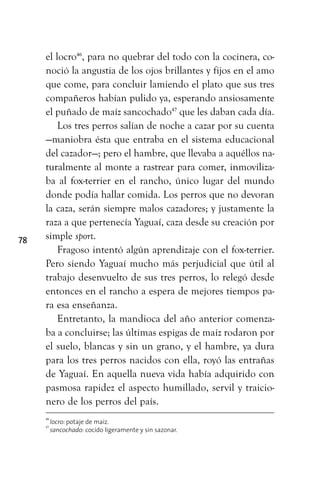 78
el locro46
, para no quebrar del todo con la cocinera, co-
noció la angustia de los ojos brillantes y fijos en el amo
que come, para concluir lamiendo el plato que sus tres
compañeros habían pulido ya, esperando ansiosamente
el puñado de maíz sancochado47
que les daban cada día.
Los tres perros salían de noche a cazar por su cuenta
—maniobra ésta que entraba en el sistema educacional
del cazador—; pero el hambre, que llevaba a aquéllos na-
turalmente al monte a rastrear para comer, inmoviliza-
ba al fox-terrier en el rancho, único lugar del mundo
donde podía hallar comida. Los perros que no devoran
la caza, serán siempre malos cazadores; y justamente la
raza a que pertenecía Yaguaí, caza desde su creación por
simple sport.
Fragoso intentó algún aprendizaje con el fox-terrier.
Pero siendo Yaguaí mucho más perjudicial que útil al
trabajo desenvuelto de sus tres perros, lo relegó desde
entonces en el rancho a espera de mejores tiempos pa-
ra esa enseñanza.
Entretanto, la mandioca del año anterior comenza-
ba a concluirse; las últimas espigas de maíz rodaron por
el suelo, blancas y sin un grano, y el hambre, ya dura
para los tres perros nacidos con ella, royó las entrañas
de Yaguaí. En aquella nueva vida había adquirido con
pasmosa rapidez el aspecto humillado, servil y traicio-
nero de los perros del país.
46
locro: potaje de maíz.
47
sancochado: cocido ligeramente y sin sazonar.
 