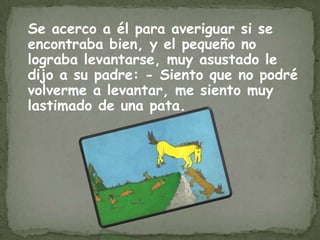 Se acerco a él para averiguar si se
encontraba bien, y el pequeño no
lograba levantarse, muy asustado le
dijo a su padre: - Siento que no podré
volverme a levantar, me siento muy
lastimado de una pata.
 