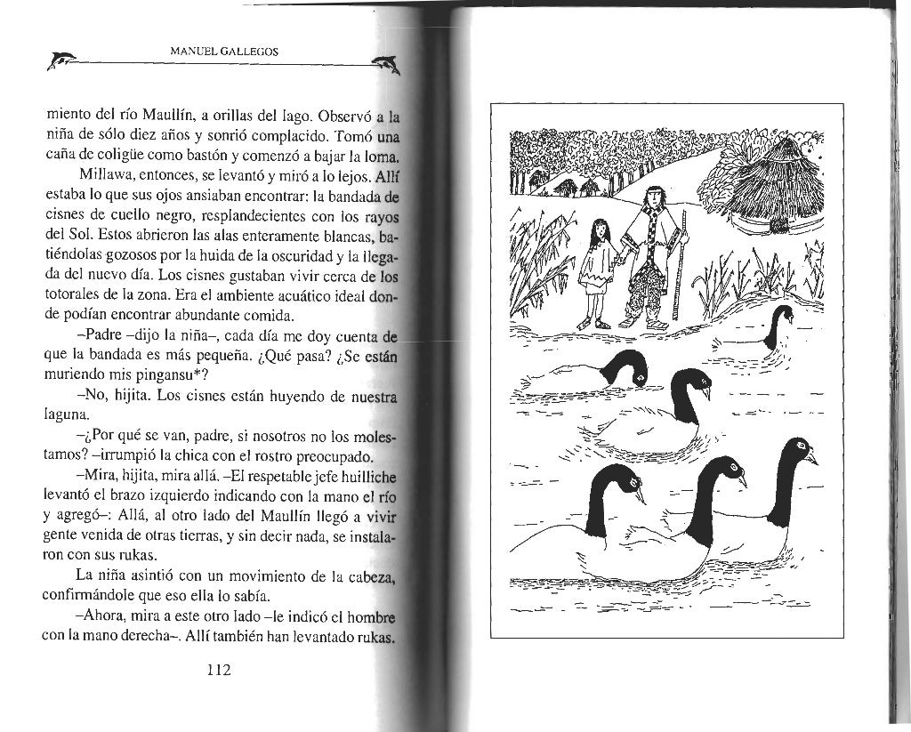 Cuentos mapuches del lago escondido