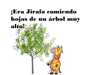 ¡Era Jirafa comiendo
hojas de un árbol muy
alto!