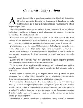 A
Una urraca muy curiosa
somada desde el nido, la pequeña urraca observaba el jardín sin darse cuenta
del peligro que corría. Esperaba con impaciencia la llegada de su madre
mientras pensaba que el nido se le quedaba pequeño y que sus alas ya estaban
preparadas para volar.
Sin embargo su madre sabía que aún no había llegado el momento de dar los primeros
vuelos junto a su hija, de modo que la seguía alimentando con gusanos e insectos que
encontraba sin dificultad entre la hierba.
Hacía unos meses que había construido el nido en un árbol, justo al lado de un
estanque, porque los calores del incipiente verano se acercaban y le parecía más cómodo
tener el agua cerca. Además, así podía estar fresquita mientras cuidaba de sus huevos.
¡Nunca imaginó lo que iba a pasar! Si hubiera sospechado el peligro que podía correr
su cría, habría construido el nido en lo alto del gran abeto, un lugar cómodo y seguro.
Estaba muy contenta y ya se había recuperado del disgusto que se llevó el día que una
gran tormenta, acompañada de viento huracanado, le tiró el otro huevo que estaba
incubando.
¡Cuánto lloró por su pérdida! Nadie pudo consolarla, ni siquiera su pareja, que había
visto horrorizado como el huevo se estrellaba contra el suelo.
Ya no pensaba más en aquél lamentable accidente, sobre todo desde que nació su
pequeña urraca; entonces decidió poner toda su atención en darle alimento, cariño y
protección.
Habían pasado ya muchos días y su pequeña urraca crecía y crecía sin parar,
reclamando cada vez más comida con graznidos cada vez más potentes, sin darse cuenta
de que sus padres no podían alimentarla con la velocidad que ella quería.
Y sucedió que un caluroso día, a eso de la media tarde, su curiosidad pudo más que su
miedo y decidió salir a explorar por su cuenta aquél precioso jardín. Se acercó al borde
del nido, y se lanzó al vació, esperando que sus alas le permitieran volar como sus padres
lo hacían. Ella les había observado con atención durante muchos días antes de tomar esta
decisión y estaba segura de conseguirlo, porque sus alas le parecían casi del mismo
tamaño que las de sus padres.
Sin embargo, no contaba con ninguna experiencia en volar y se llevó un tremendo
12
 