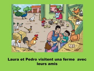 Laura et Pedro visitent una ferme avec
leurs amis

 