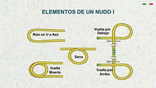 ELEMENTOS DE UN NUDO I
Rizo en U o Asa
Vuelta por
Debajo
Seno
Vuelta
Muerta
Vuelta por
Arriba
 