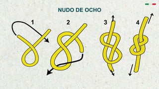 NUDO DE OCHO
1 2 3 4
 
